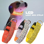 Collar LED para Mascotas