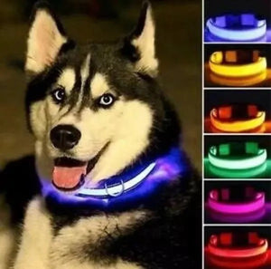 COLLAR LUZ LED MASCOTAS