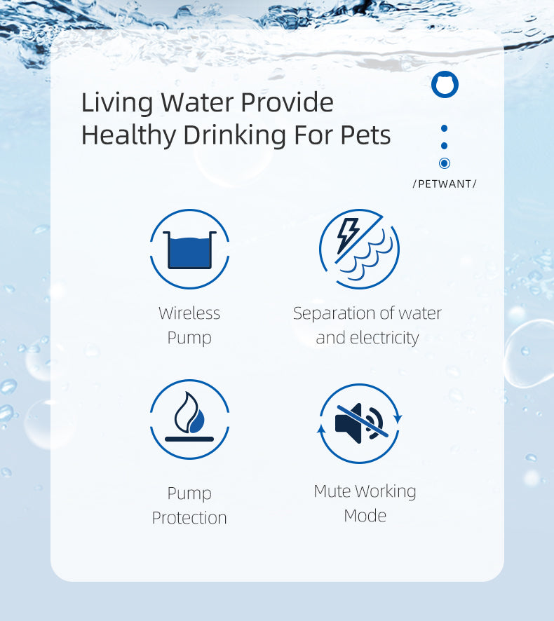 Petwant™|Fuente De Agua Para Gato