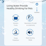 Petwant™|Fuente De Agua Para Gato