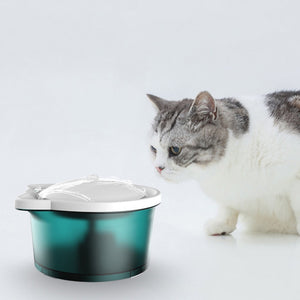 Petwant™|Fuente De Agua Para Gato