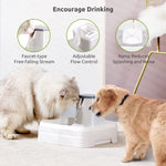 Fuente De Agua Para Gatos Y Perros Bebe