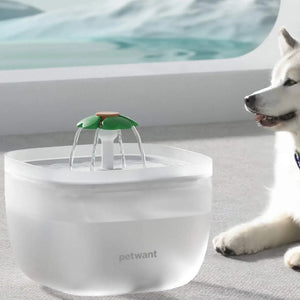 Petwant™|Fuente De Agua Para Gatos Y Perros