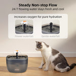 Petwant™|Fuente De Agua Para Gatos Y Perros