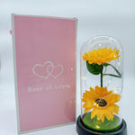 ROSE OF LOVE™|GIRASOL EN CUPULA CON LUZ LED