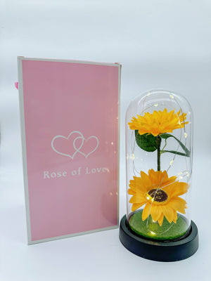 ROSE OF LOVE™|GIRASOL EN CUPULA CON LUZ LED