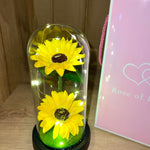 ROSE OF LOVE™|GIRASOL EN CUPULA CON LUZ LED