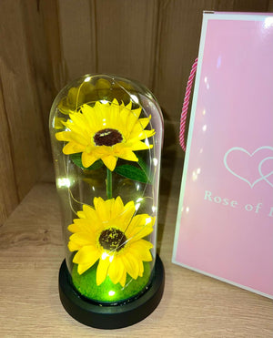 ROSE OF LOVE™|GIRASOL EN CUPULA CON LUZ LED