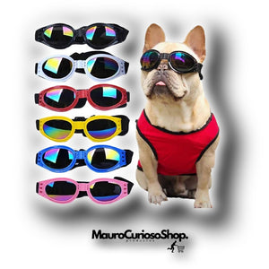 Gafas De Sol Ajustables Protección Perro