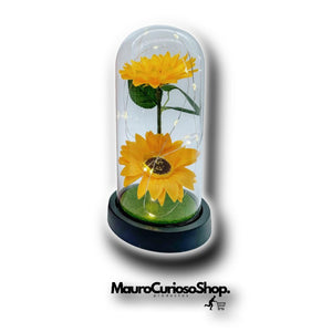 ROSE OF LOVE™|GIRASOL EN CUPULA CON LUZ LED