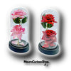 ROSE OF LOVE™|ROSA DOBLE EN URNA DE CRISTAL