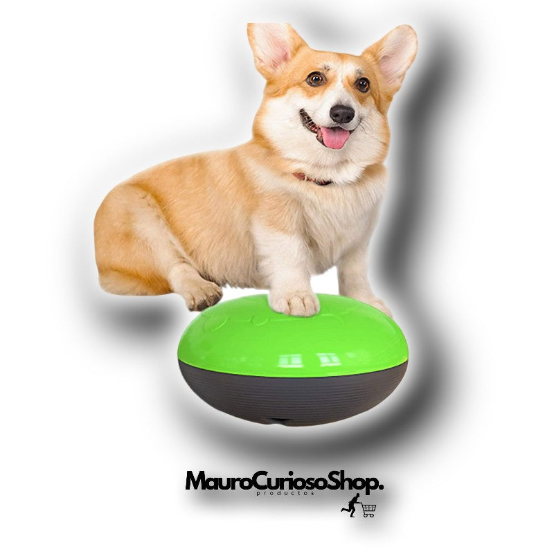 Dispensador de Alimentos Mascota Sonido