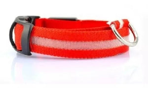 COLLAR LUZ LED MASCOTAS