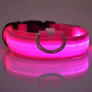 COLLAR LUZ LED MASCOTAS